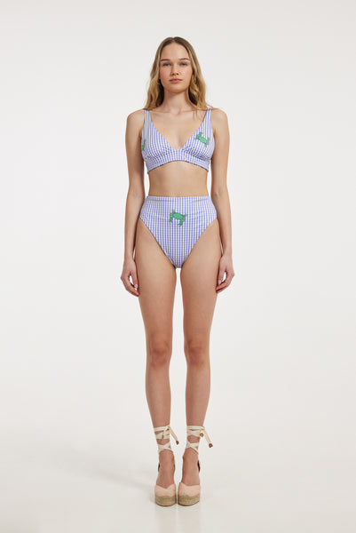 Gloria Swim Bottom (Purple)