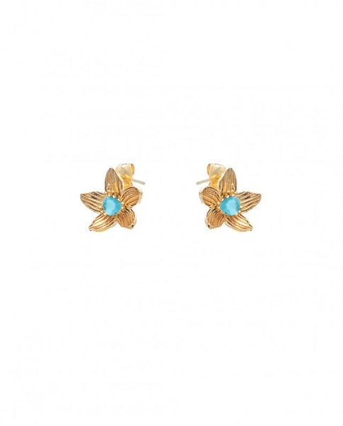 Σκουλαρίκια Birthstone