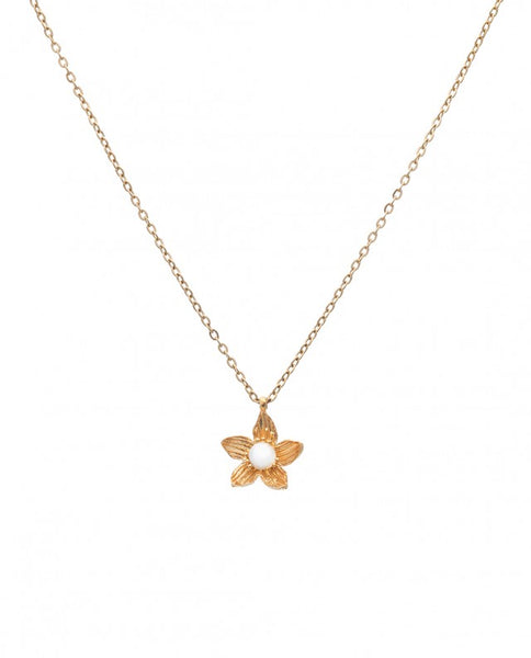 Κολιέ Birthstone